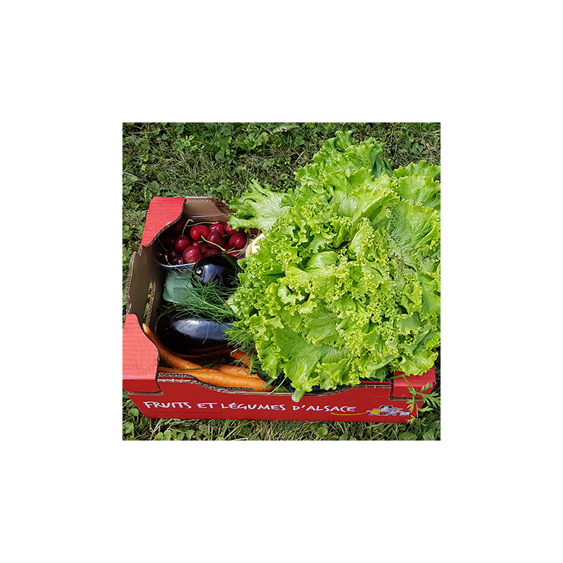 Petit panier de la semaine , cerise aubergine courgette carotte salade Nos Saveurs de France