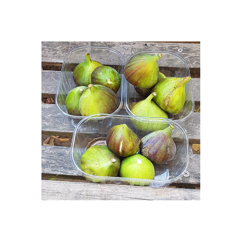 Figues