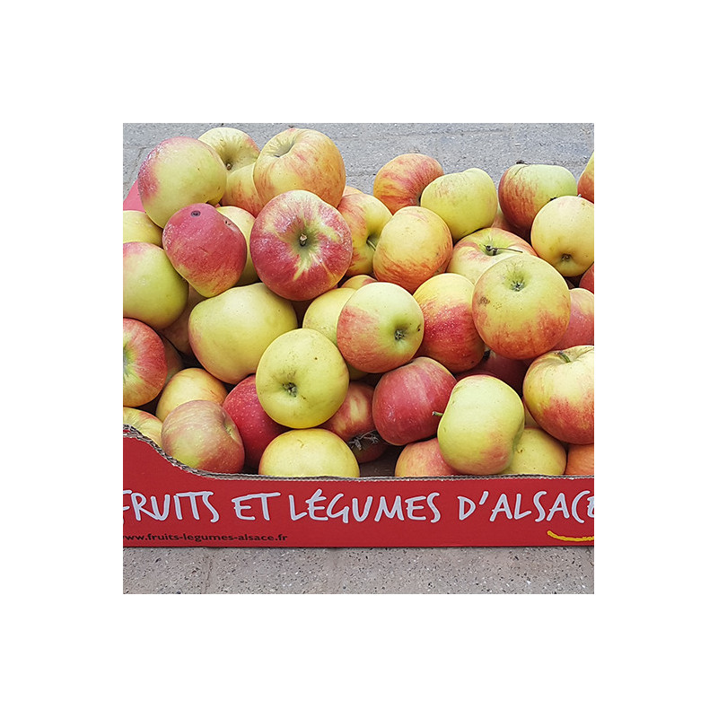 Les pommes d'Alsace. nos Saveurs de France. savourez l'Alsace